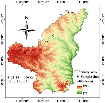 Distribution characteristics of soil microbial communities and their responses to environmental factors in the sea buckthorn forest in the water-wind erosion crisscross region